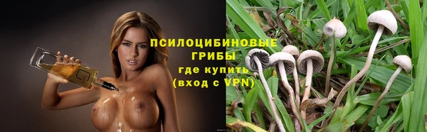 прущие грибы Беломорск