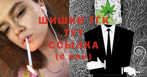 прущие грибы Беломорск