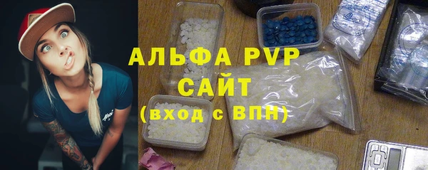прущие грибы Беломорск