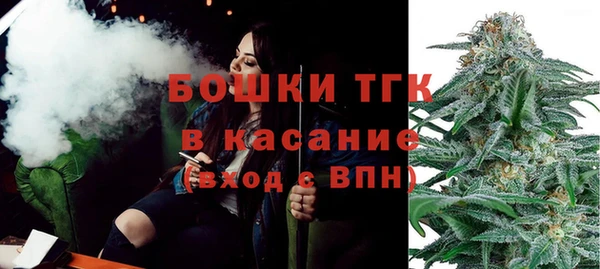 прущие грибы Беломорск
