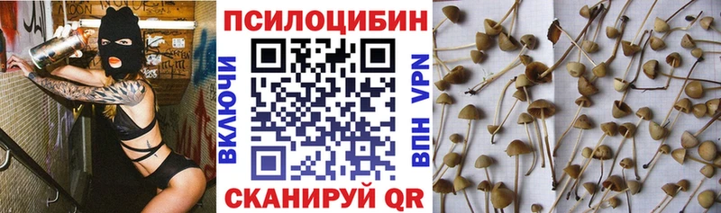 Купить  Жирновск  Псилоцибиновые грибы мухоморы 